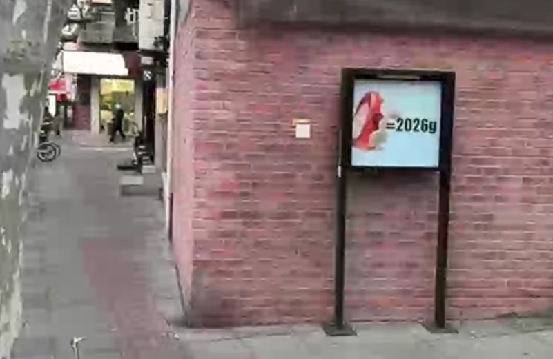 Elsa Werth, Xinhua Art Service, 2026 view4